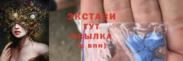 стаф Горняк