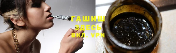 стаф Горняк