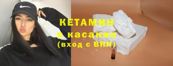 стаф Горняк