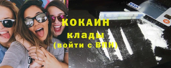 стаф Горняк
