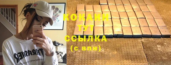 стаф Горняк