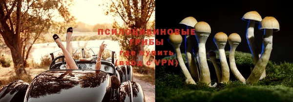 эйфоретик Горно-Алтайск