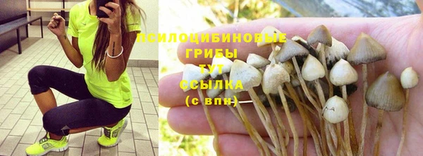 эйфоретик Горно-Алтайск