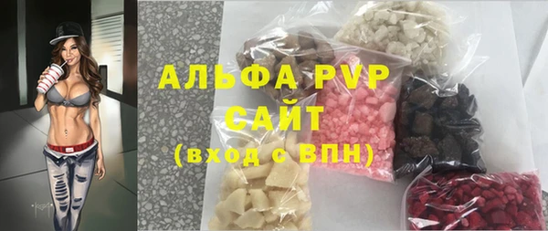 стаф Горняк