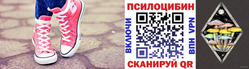 Купить закладки  Печора  Галлюциногенные грибы Psilocybe 